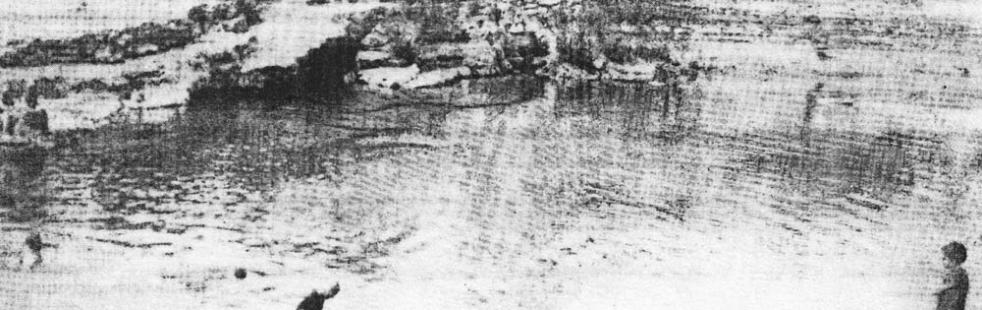 Early Barton Springs survey