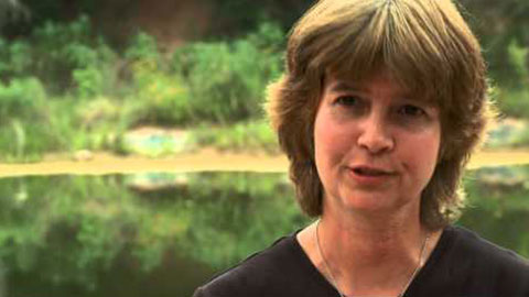 Studying Salamanders